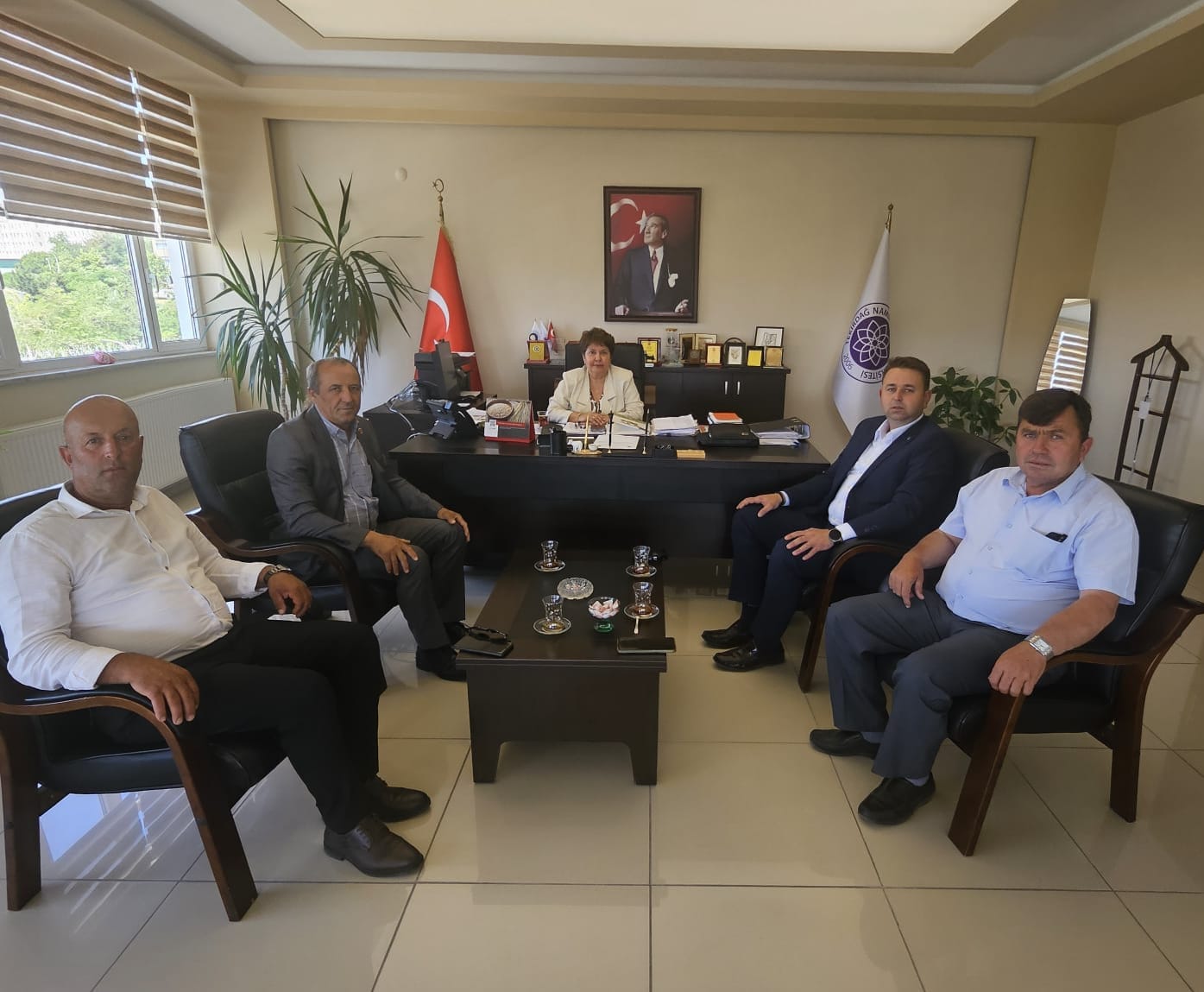 Namık Kemal Üniversitesi0