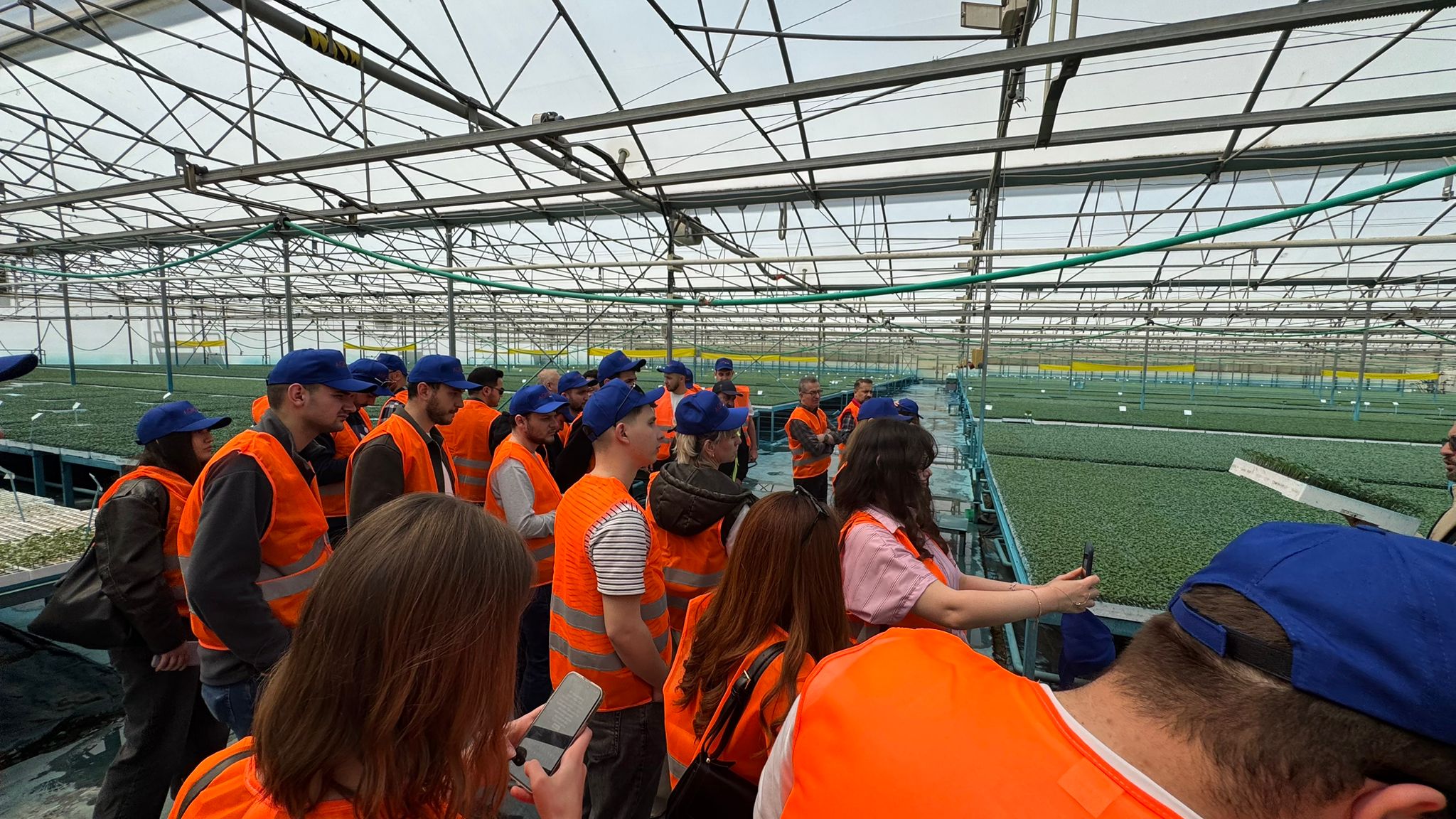 Namık Kemal Üniversitesi0