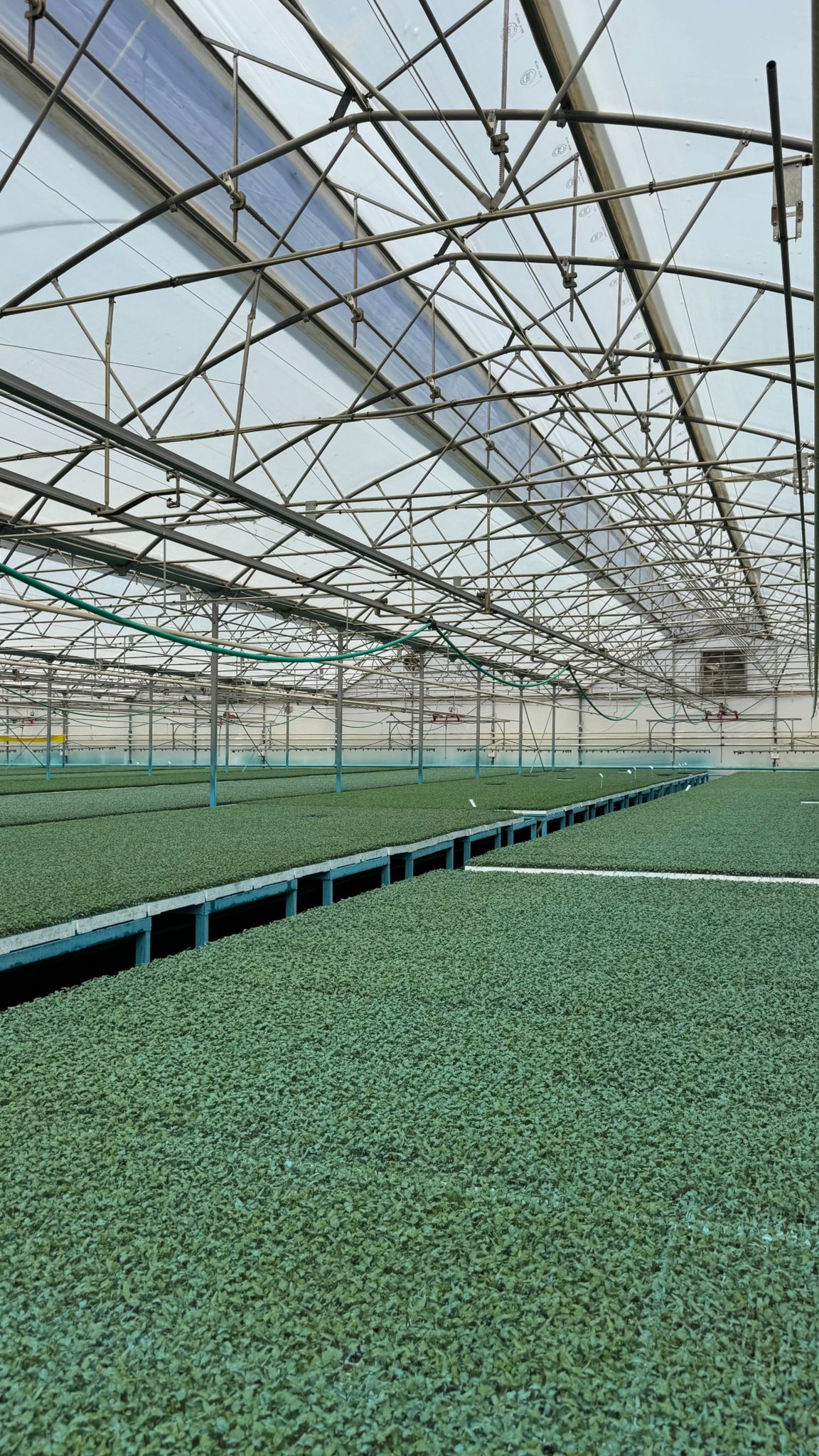 Namık Kemal Üniversitesi0