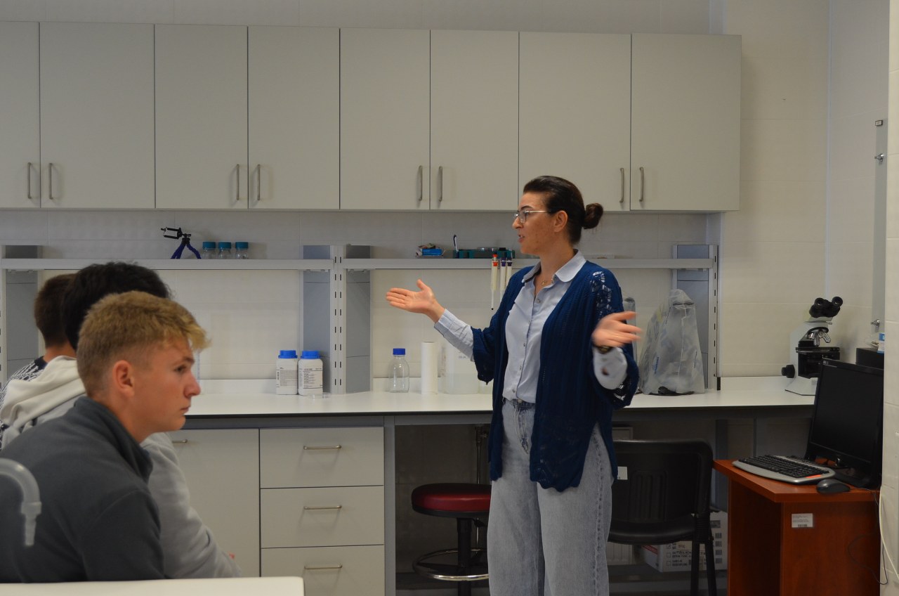 Namık Kemal Üniversitesi0