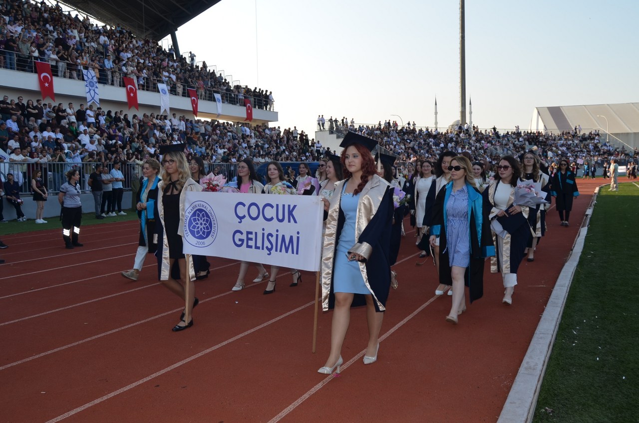 Namık Kemal Üniversitesi0