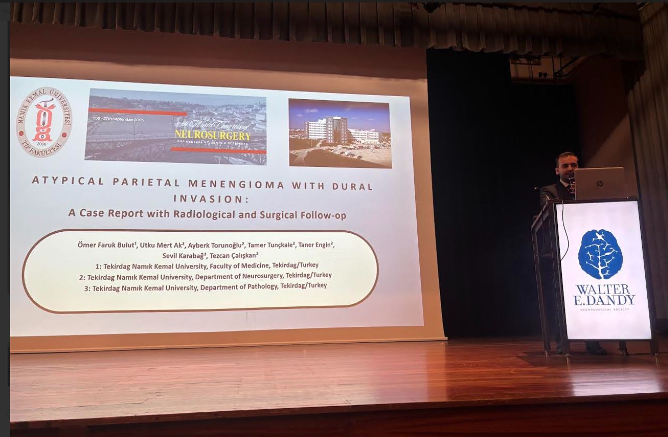 Namık Kemal Üniversitesi1005