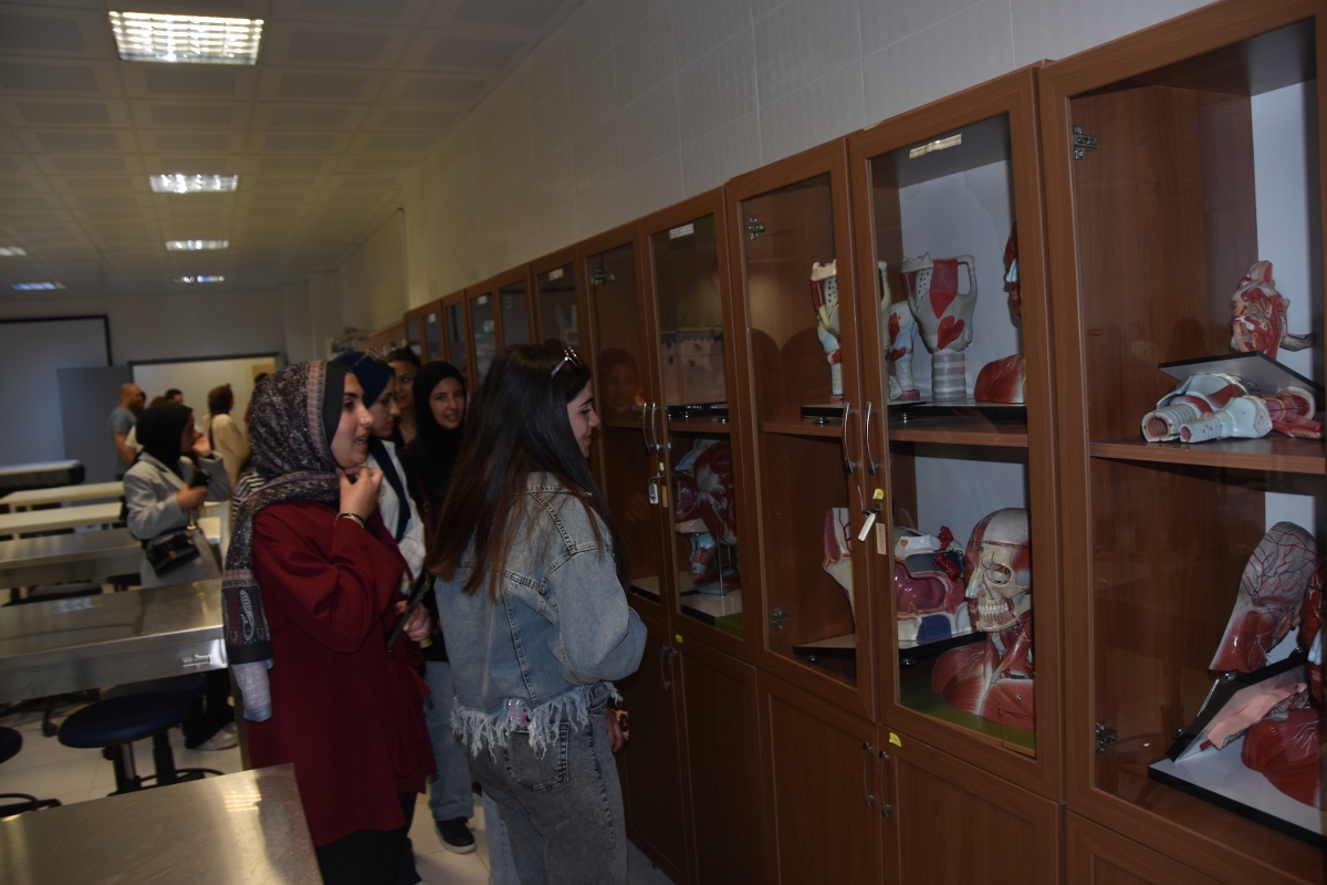 Namık Kemal Üniversitesi0
