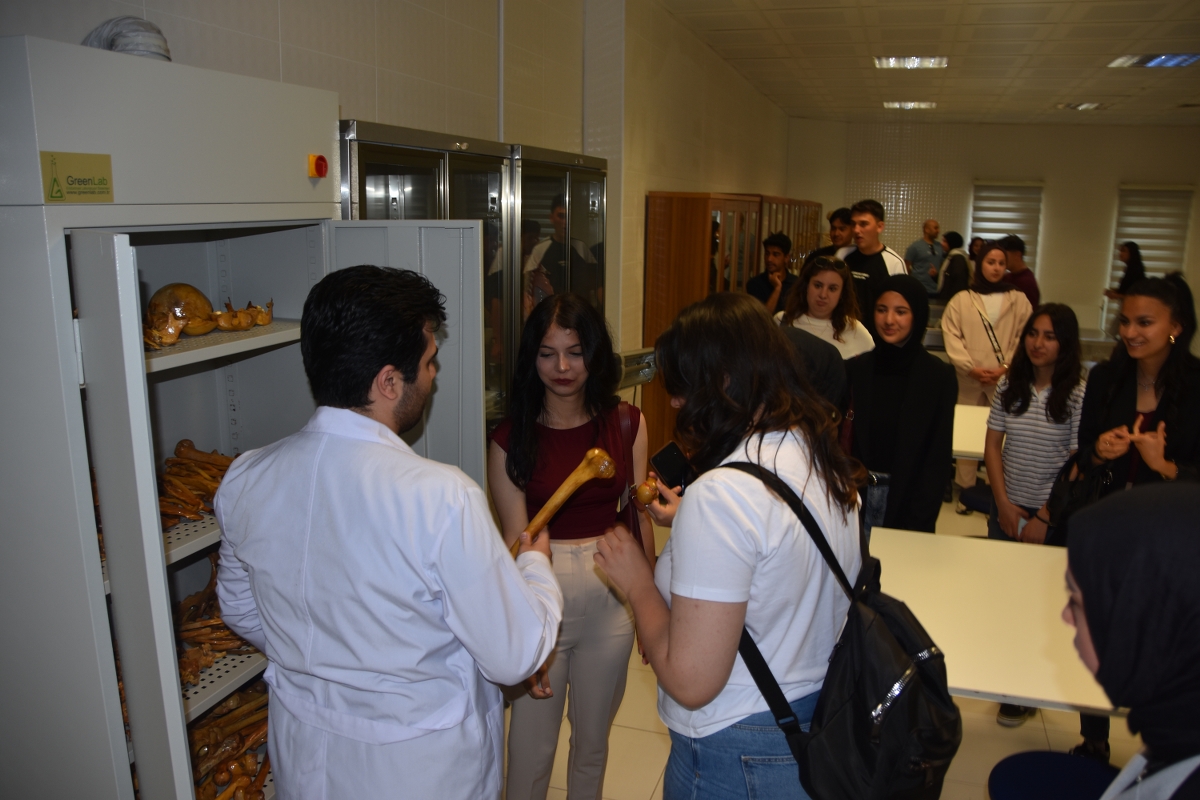Namık Kemal Üniversitesi0