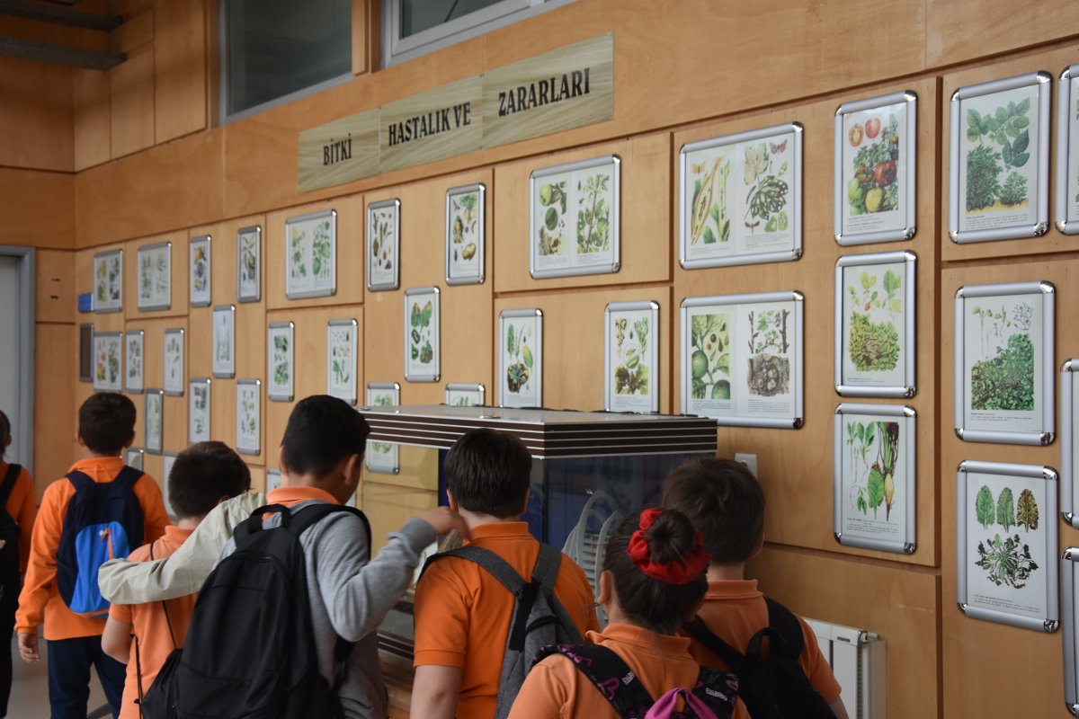 Namık Kemal Üniversitesi13