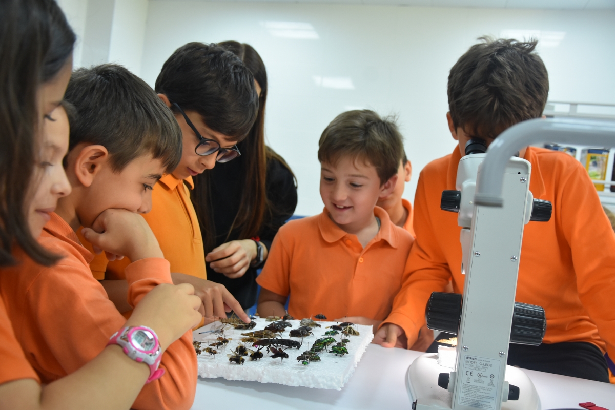 Namık Kemal Üniversitesi18