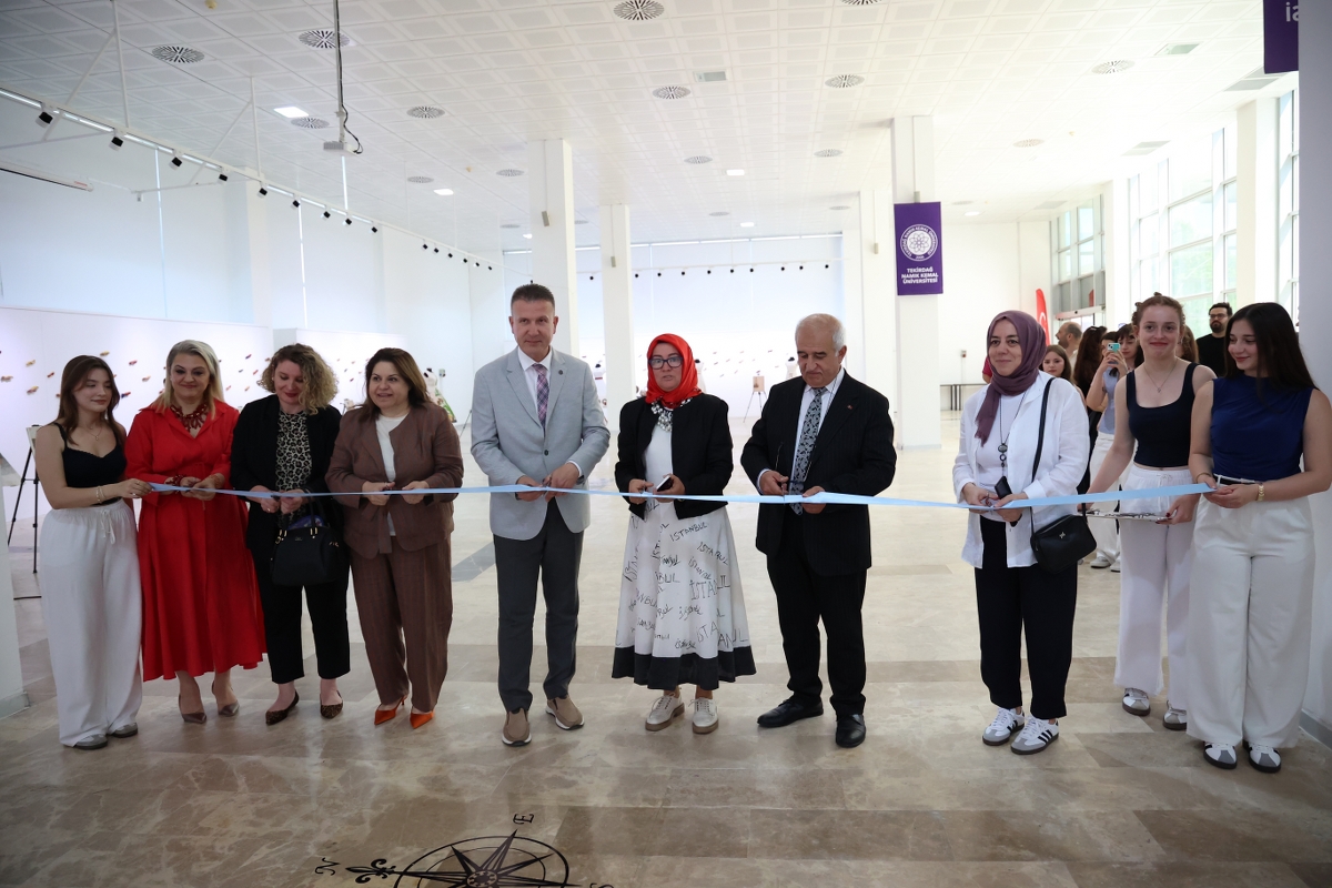 Namık Kemal Üniversitesi2